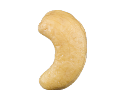 Cashew