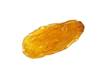 Raisin